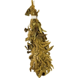 JR FARM KŁOSY AMARANTUS 30g